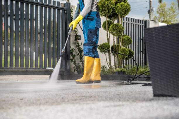 Best Roof Power Washing Services  in Oakland, NE
