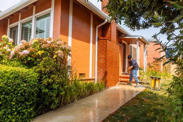 Best Affordable Pressure Washing  in Oakland, NE